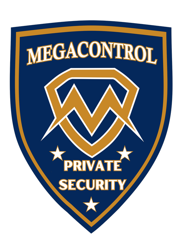 MCS Security Surveillance